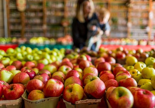 Fresh Picked: Taste the Season with Michigan Apples